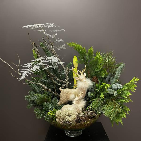 Коипозиция из натуральной ели и амаррилиса в воске