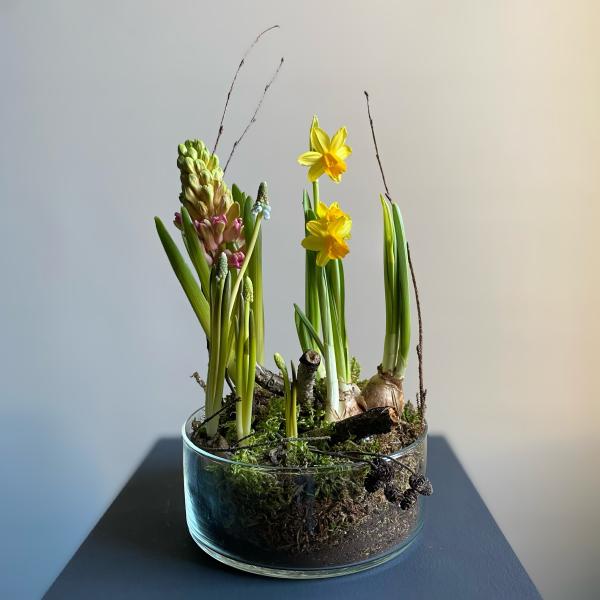 Луковичная композиция "Лесная поляна'' размер M