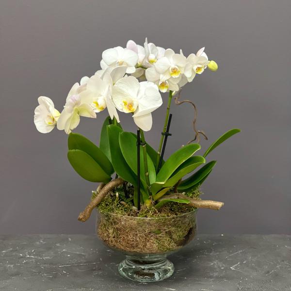 Интерьерная композиция в стекле "Белые ночи" (S)