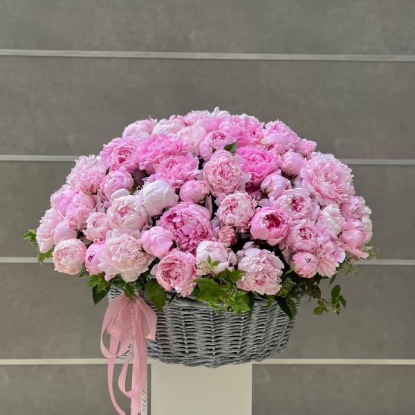 Корзина из 95 пионов