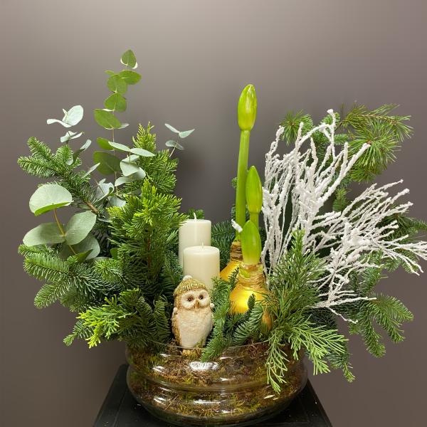 Коипозиция из натуральной ели и амаррилиса в воске