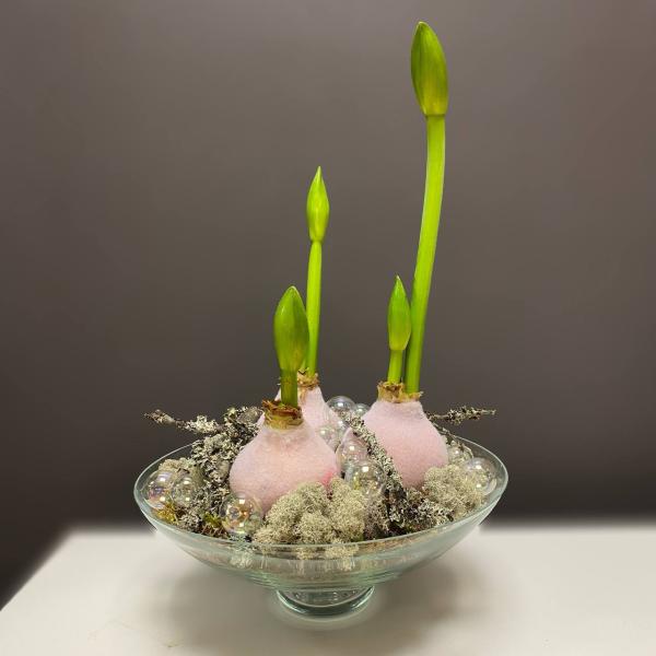 Композиция с амаррилисом в воске в стекляной вазе