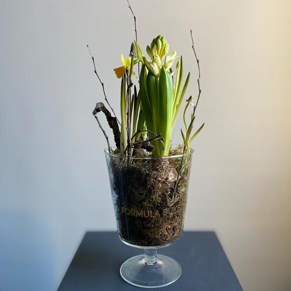 Луковичная композиция "Лесная поляна'' размер S