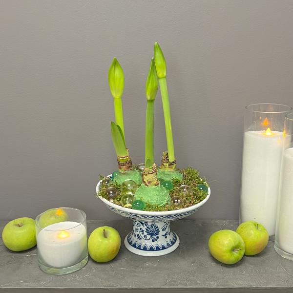 Интерьерная композиция "Грациозные амариллисы"