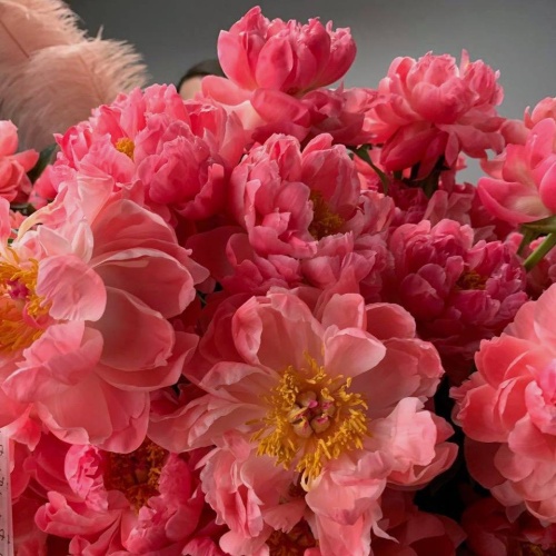 Букет пионов M