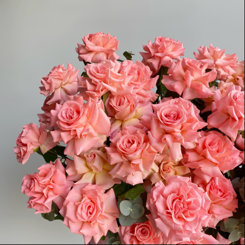 Композиция из 101 французской розовой розы в бархатной коробке