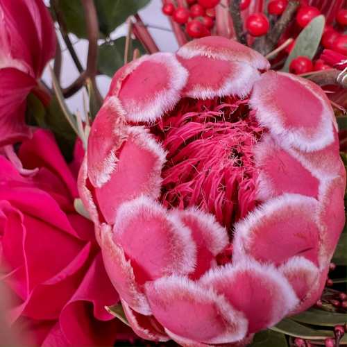 Букет "Бархатный вечер"