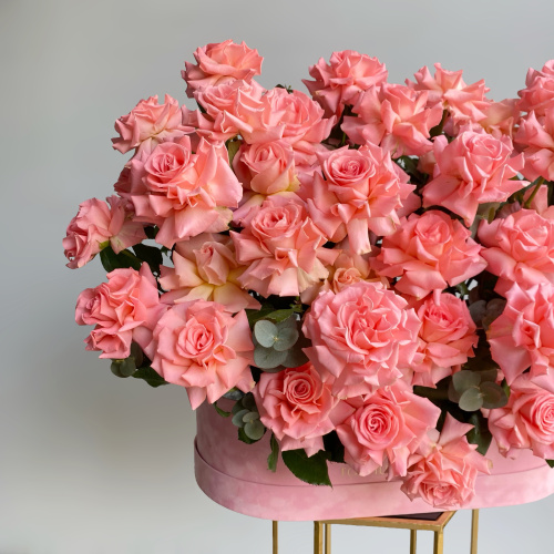 Композиция из 101 французской розовой розы в бархатной коробке