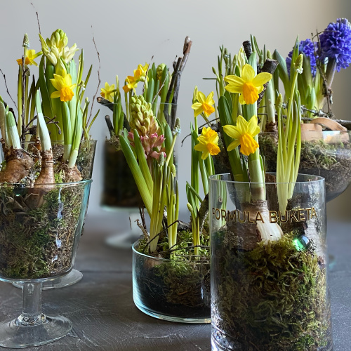 Луковичная композиция "Лесная поляна'' размер L