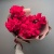 Букет Роз Готча (S)