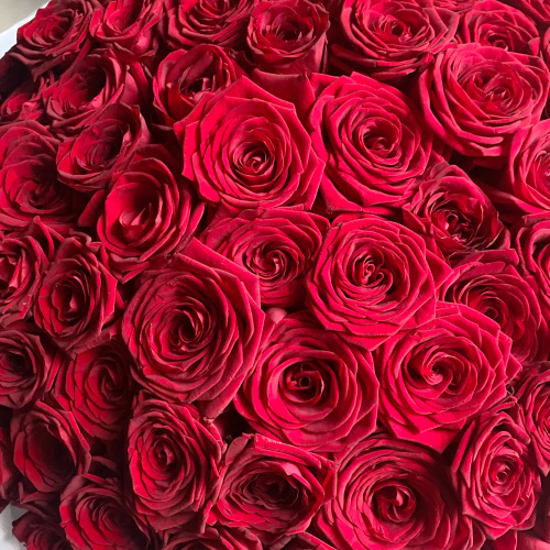 Букет 101 роза 60см