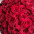 Букет 101 роза 60см