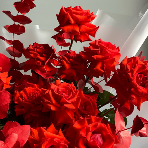 Букет 15 роз с эвкалиптом