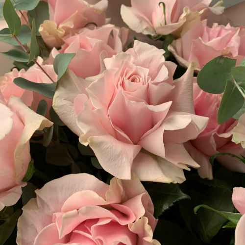 Букет роз Пинк Мондиаль (L)